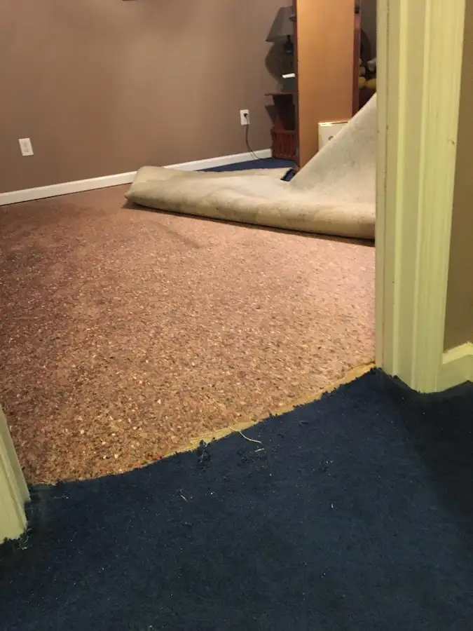 Carpet pad removal revealing water damage during Drying & Dehumidification in Arvada