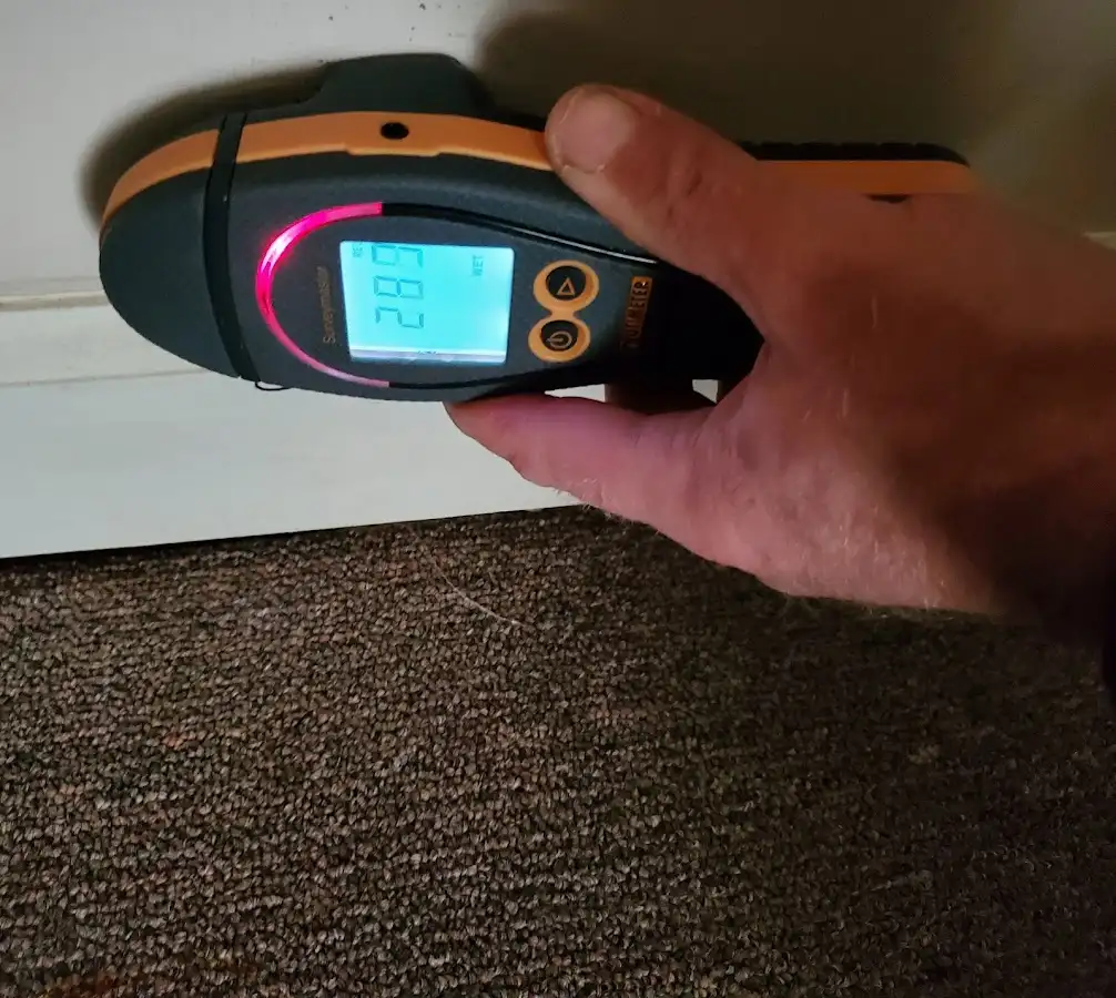 Moisture detection at baseboard during Sewage Cleanup & Sanitation in Arvada